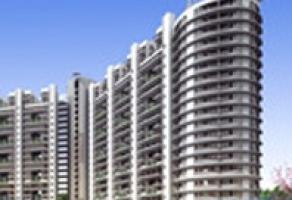 Unique IDs to track house tax payments in Gurgaon